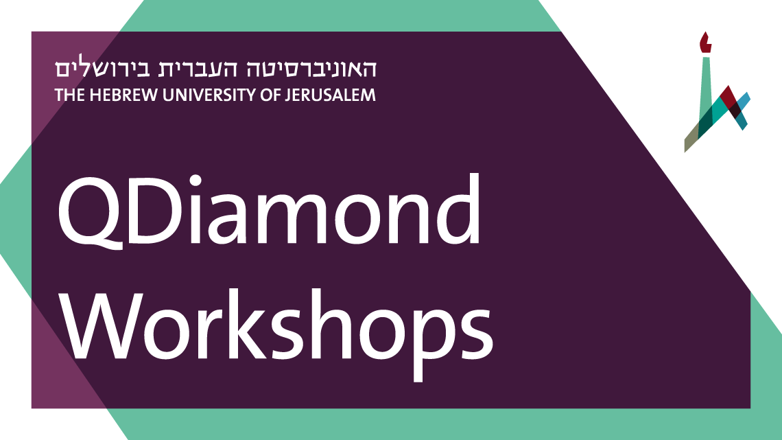 QDiamond Workshops
