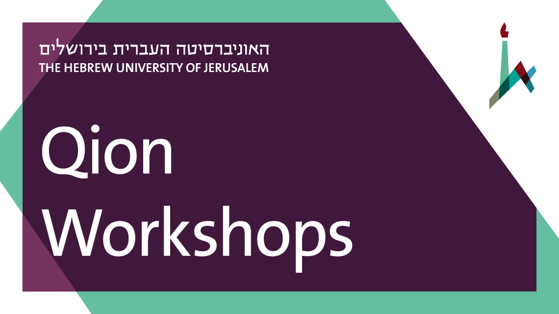Qion Workshops
